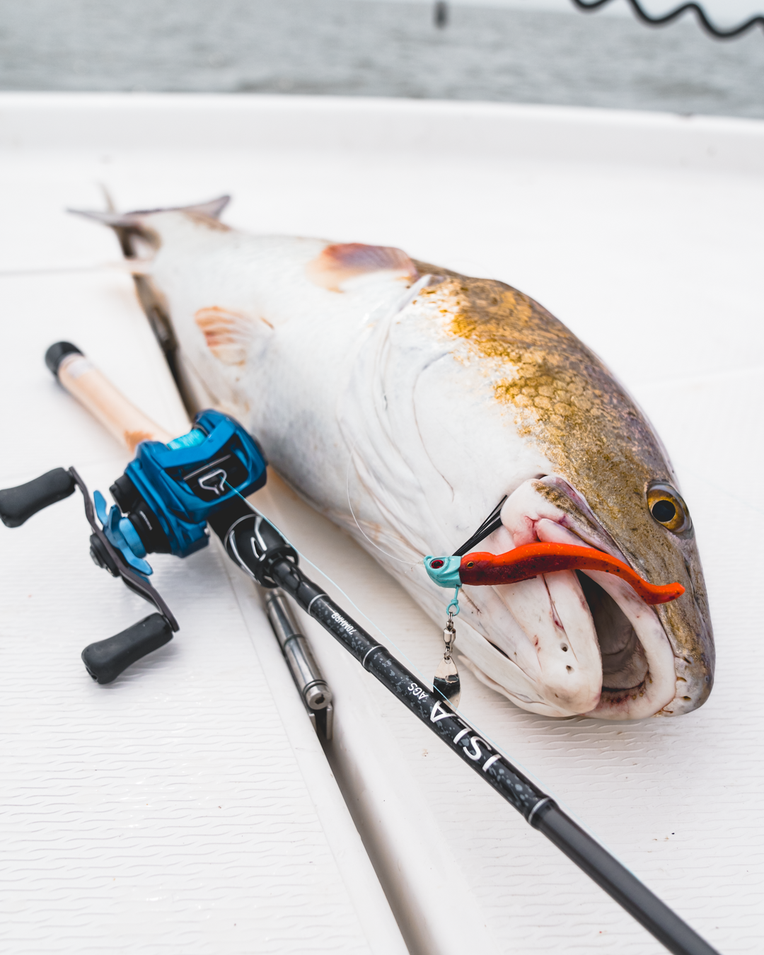 ISLA AGS INSHORE RODS Popular Style