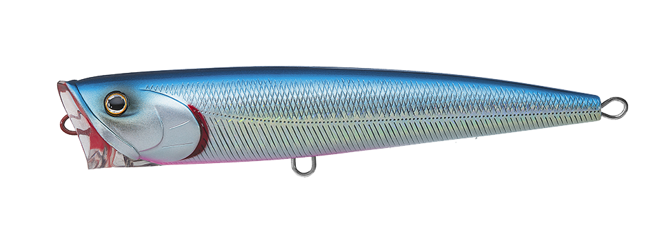 SALTIGA DORADO POPPER Popular Style