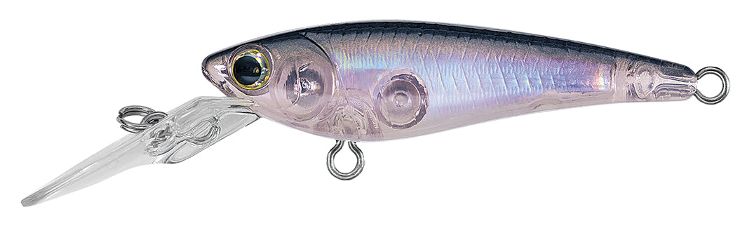 SC SHAD Popular Style