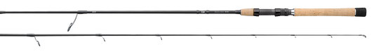 BACK BAY RODS Popular Style