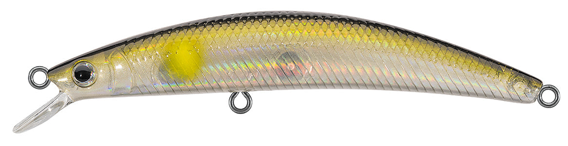 DR.MINNOW JERKBAITS Popular Style