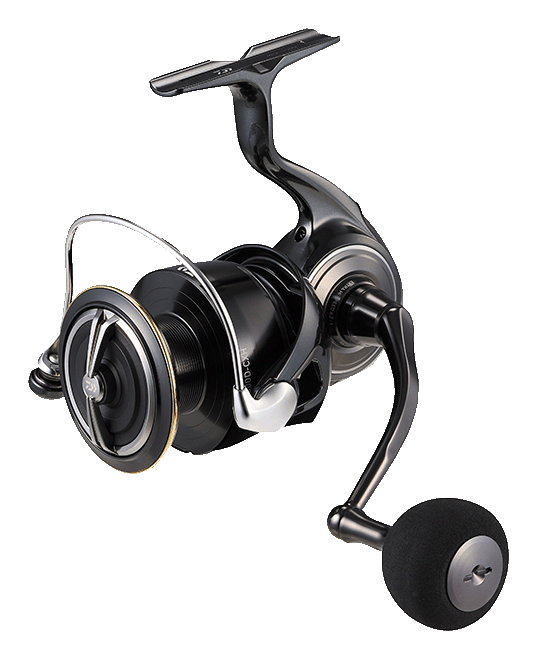 2026 CERTATE HD Popular Style