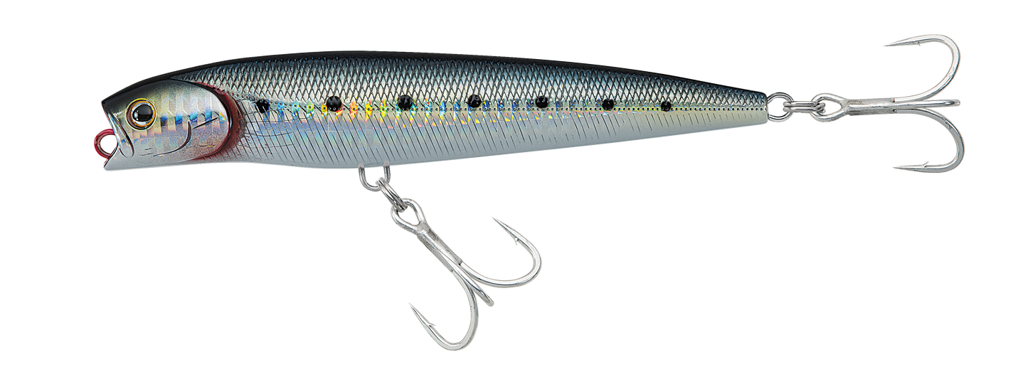 SALTIGA DORADO PENCIL Popular Style