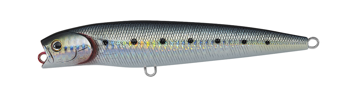 SALTIGA DORADO PENCIL Popular Style