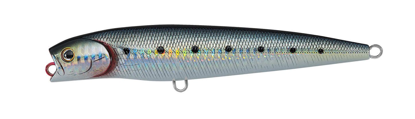 SALTIGA DORADO PENCIL Popular Style