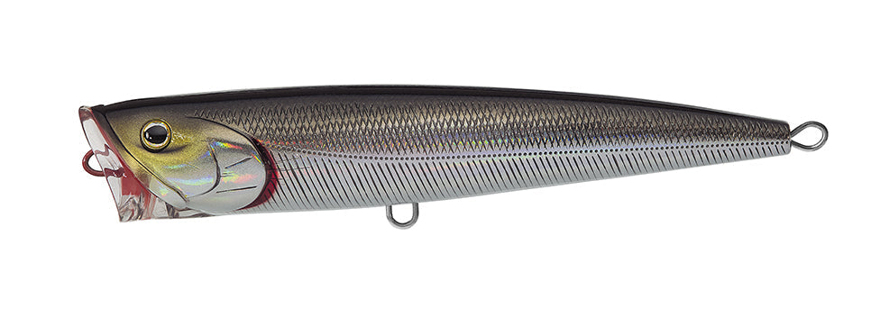 SALTIGA DORADO POPPER Popular Style