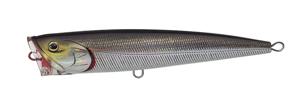 SALTIGA DORADO POPPER Popular Style