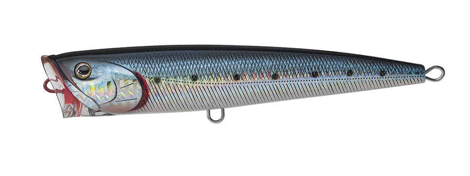 SALTIGA DORADO POPPER Popular Style