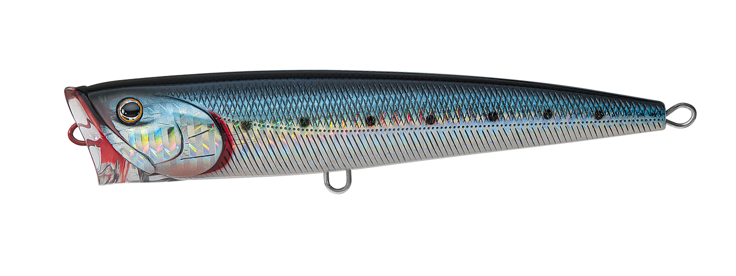 SALTIGA DORADO POPPER Popular Style