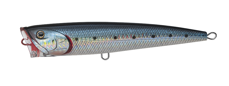 SALTIGA DORADO POPPER Popular Style