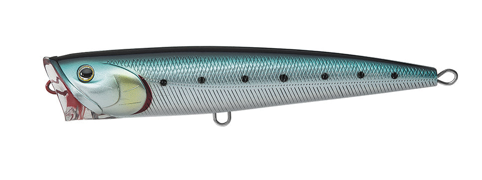 SALTIGA DORADO POPPER Popular Style