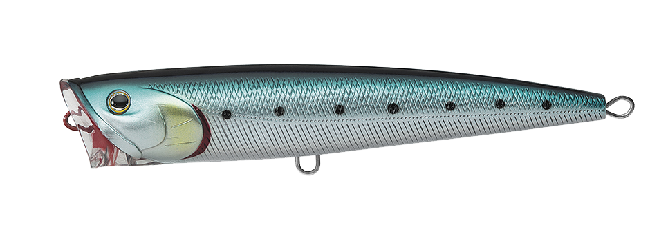 SALTIGA DORADO POPPER Popular Style