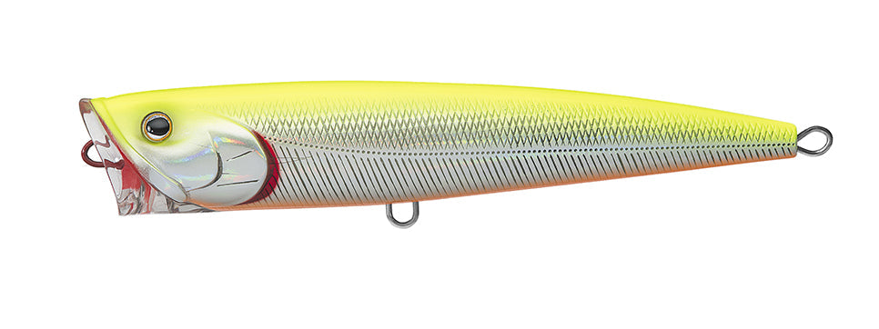 SALTIGA DORADO POPPER Popular Style