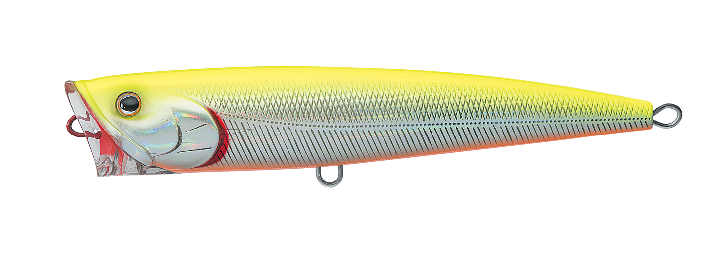 SALTIGA DORADO POPPER Popular Style