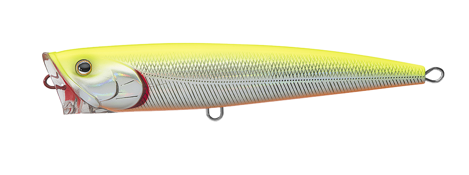 SALTIGA DORADO POPPER Popular Style