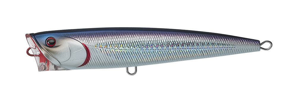 SALTIGA DORADO POPPER Popular Style