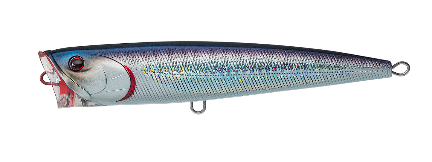 SALTIGA DORADO POPPER Popular Style