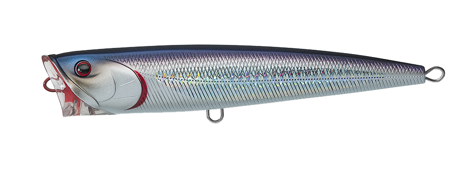 SALTIGA DORADO POPPER Popular Style