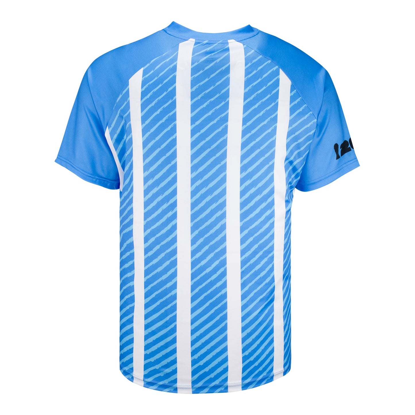 FIFA World Cup 2026 Argentina Sublimated T-Shirt - Unisex Official Team Jersey Sports Fan Apparel