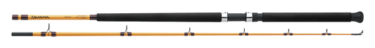 FT BOAT & SURF RODS Popular Style