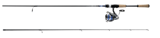 LEGALIST LT COMBO Popular Style