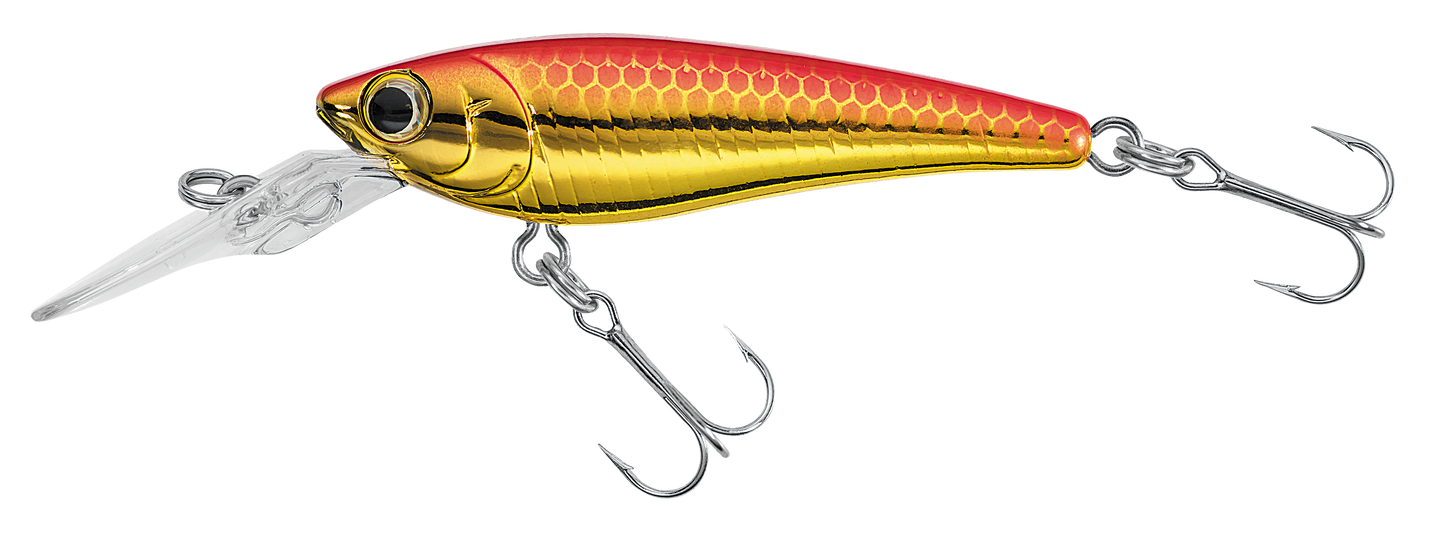 SC SHAD Popular Style
