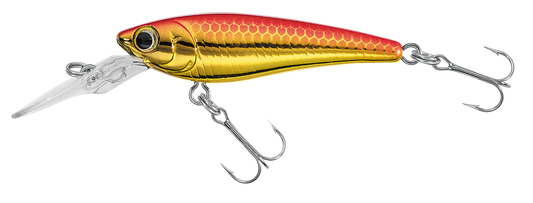 SC SHAD Popular Style