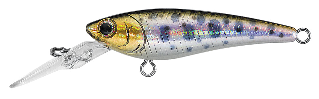 SC SHAD Popular Style