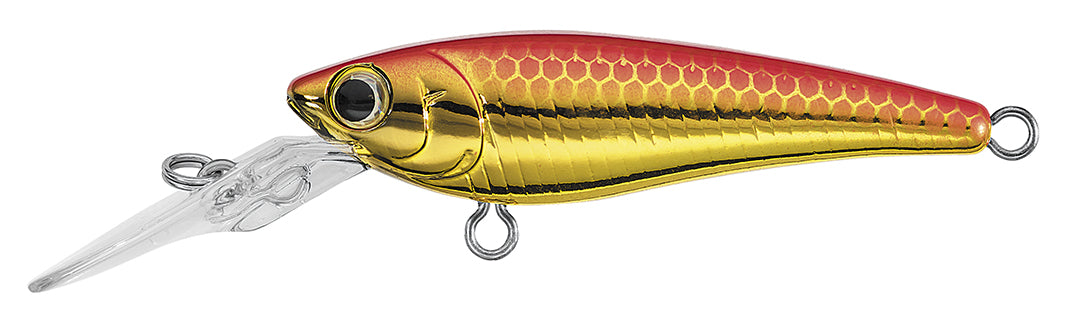 SC SHAD Popular Style