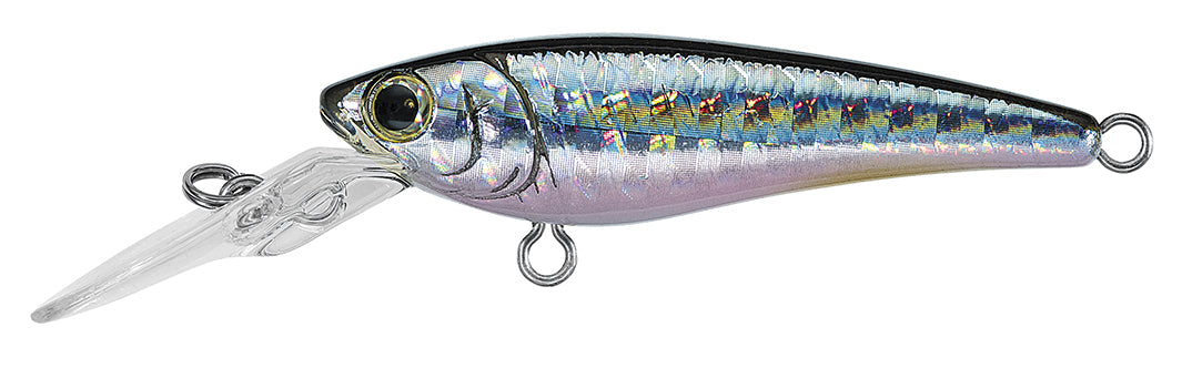 SC SHAD Popular Style