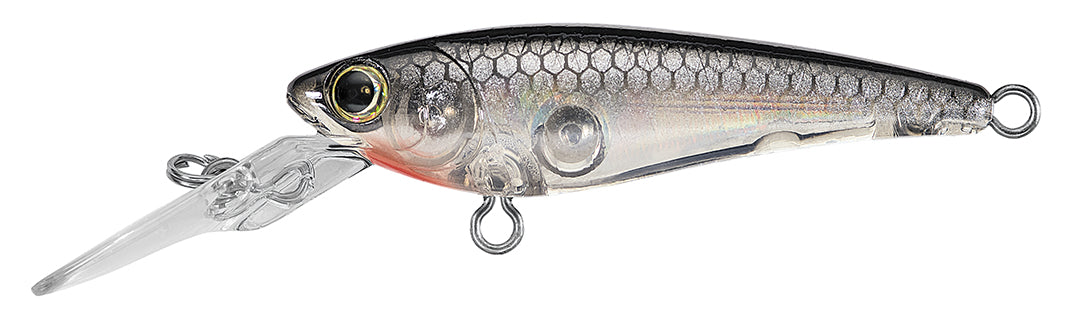 SC SHAD Popular Style