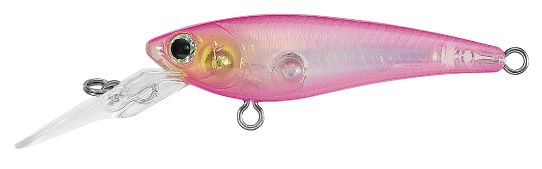 SC SHAD Popular Style