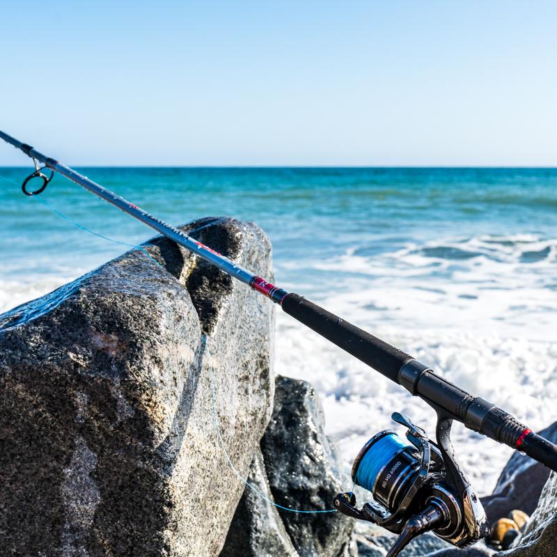 TEAM DAIWA SURF RODS Popular Style