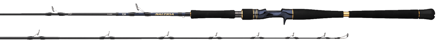 SALTIGA JIGGING RODS Popular Style